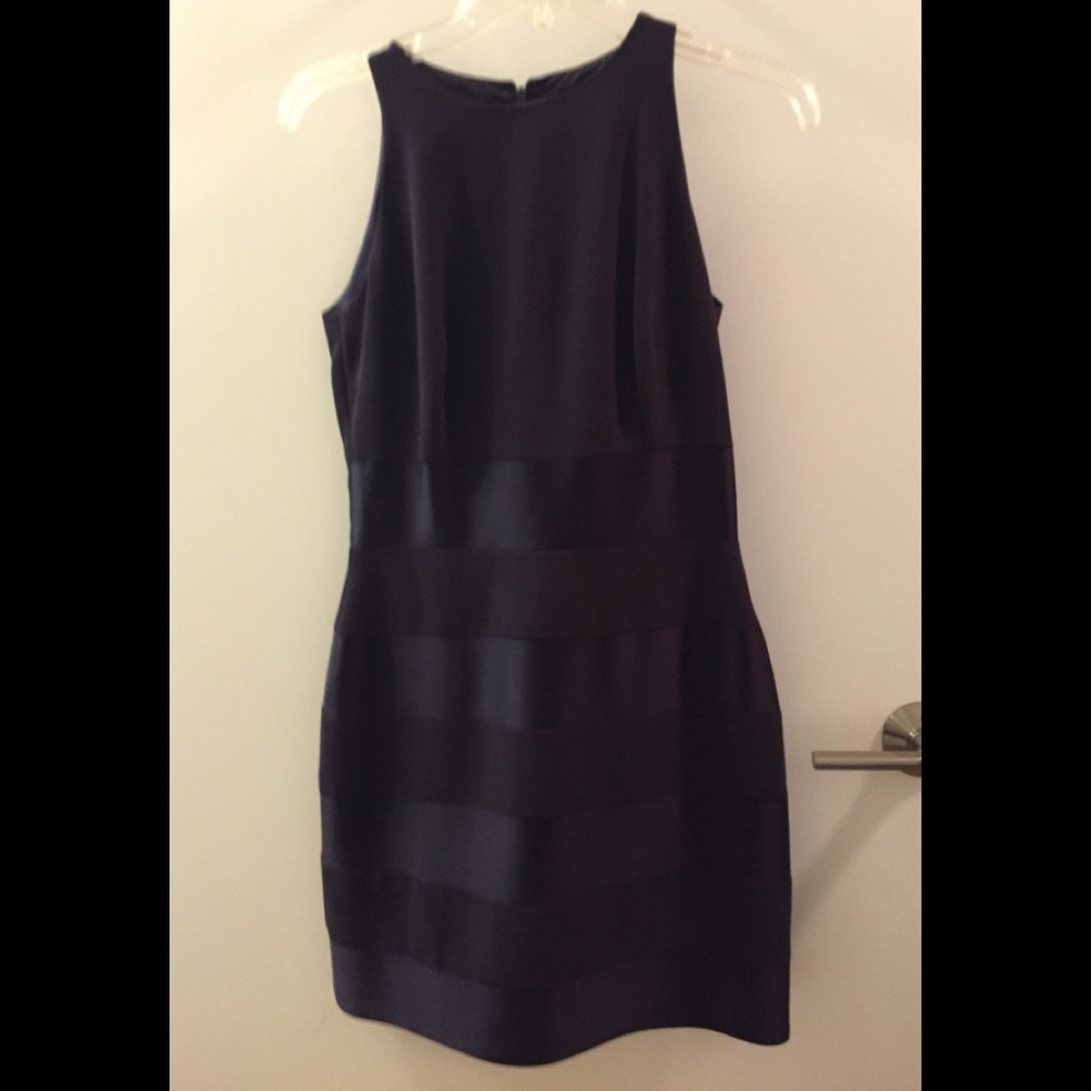 Simply Gorgeous! Laundry by Shelli Segal Dress.