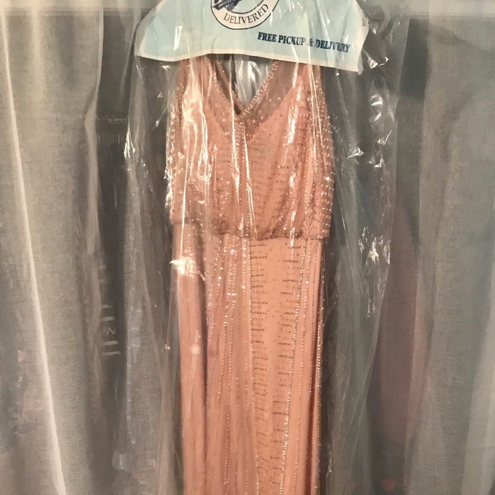 Adriana Papell formal gown - blush pink