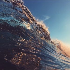 Meet your Posher, Dominic