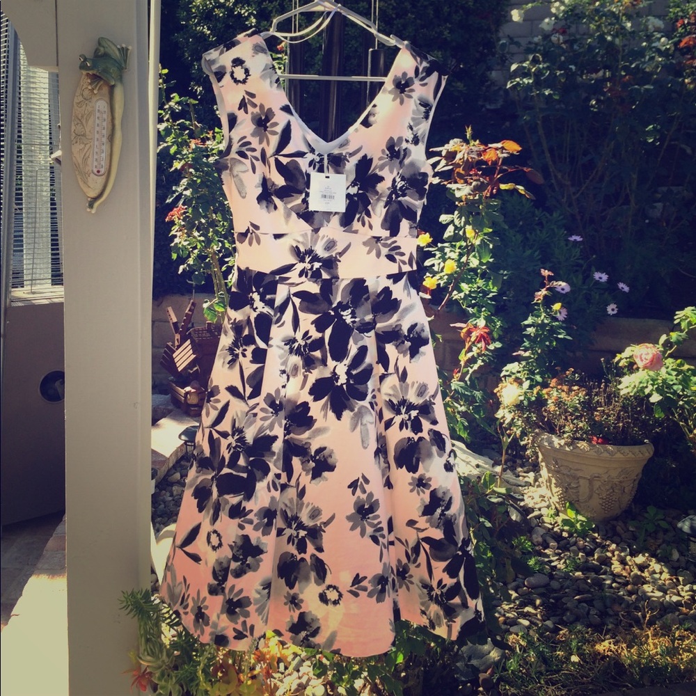 BOUGHT IN LONDON,UK NWT A line below knee dress