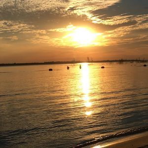 Meet your Posher, Lynn