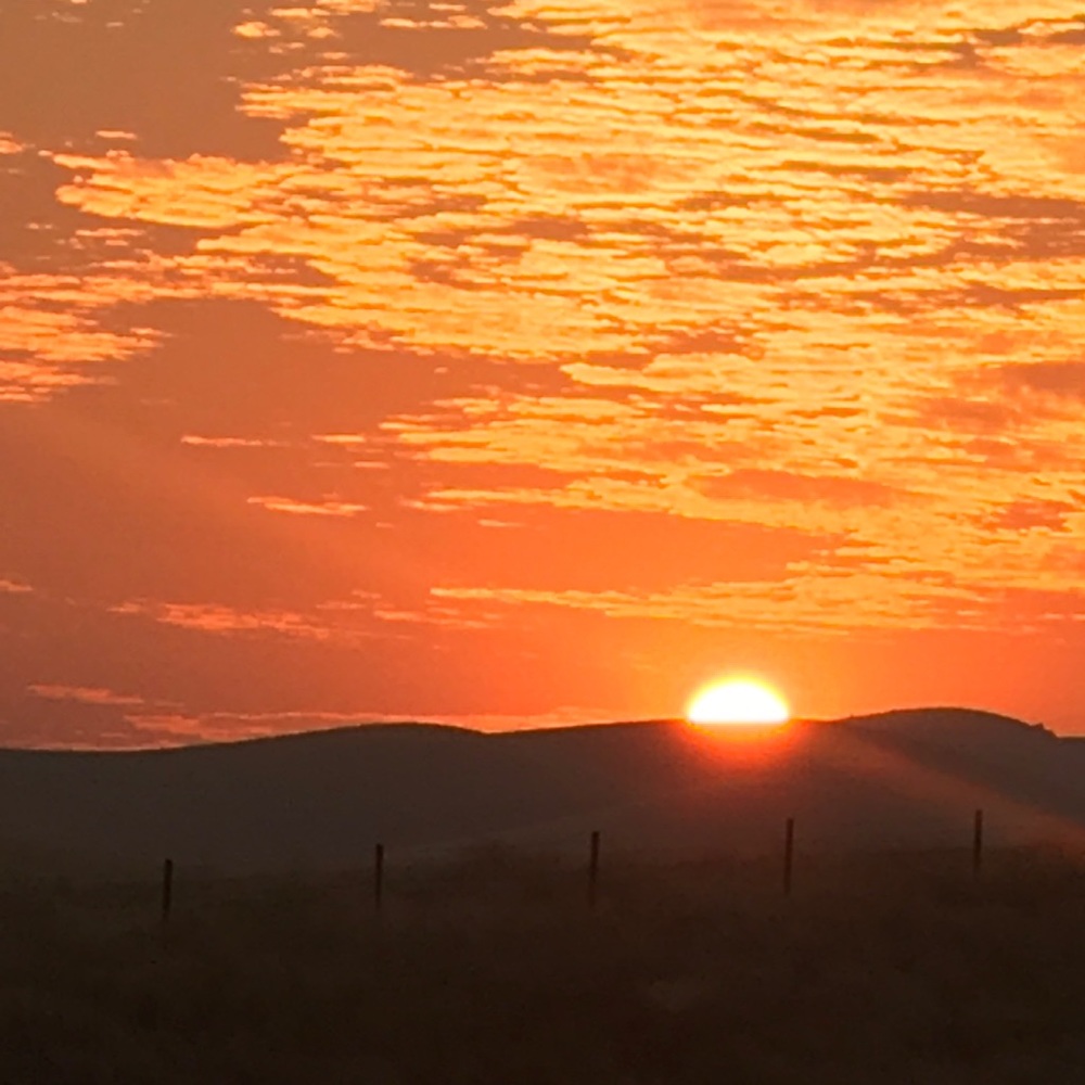 Meet your Posher, Brenda