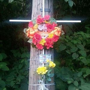 Meet your Posher, Carol