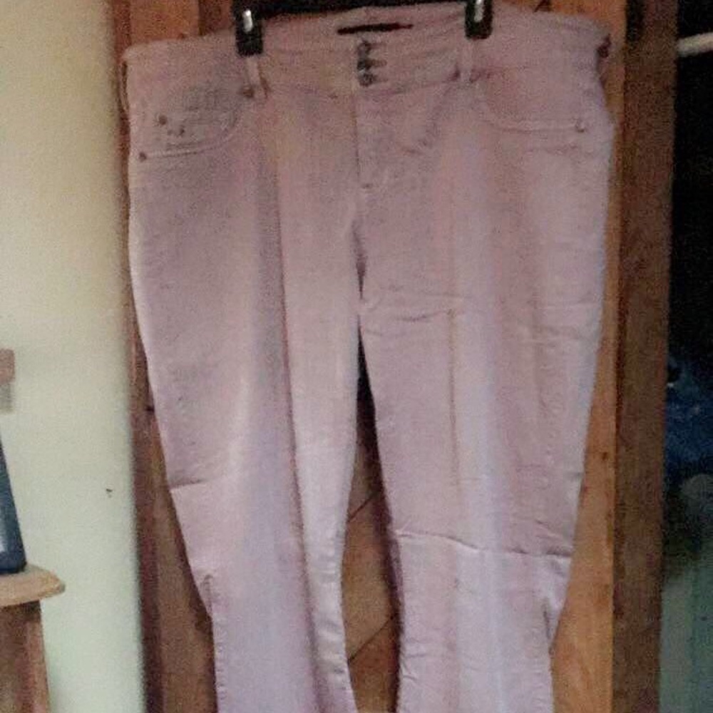 Torrid Jeggings (Tea Rose, 24XT)