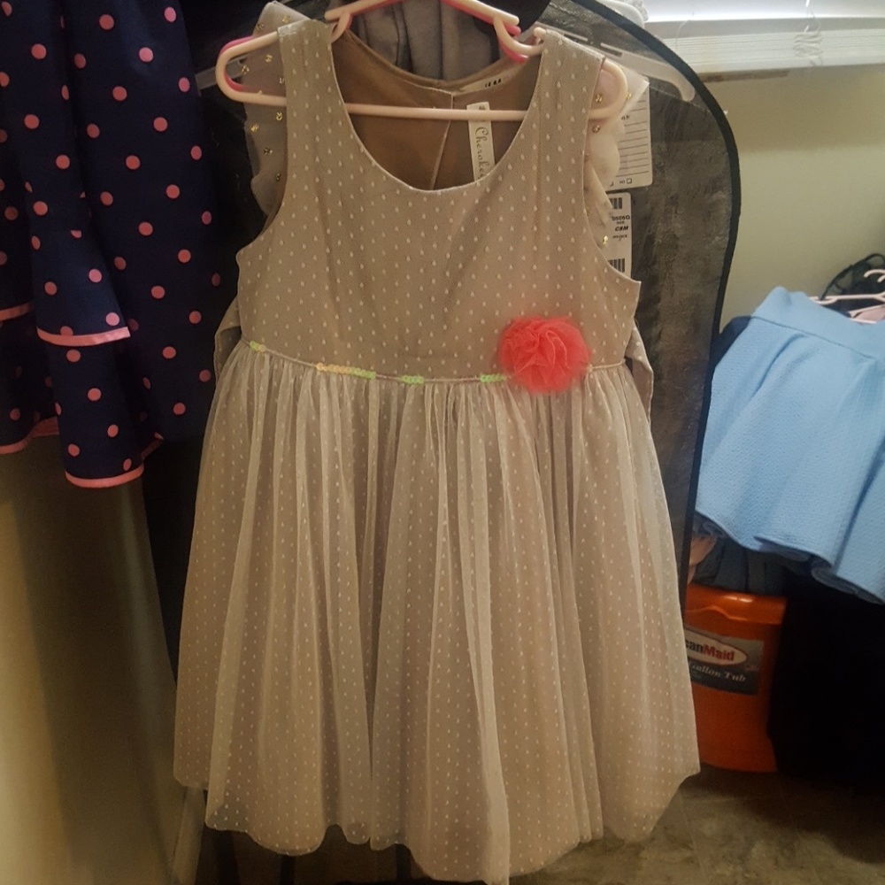 Little Girls Formal/Holiday Dress
