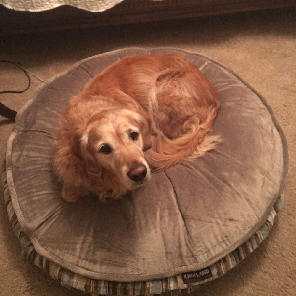 Meet your Posher, Jane.