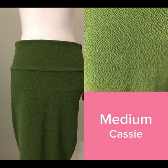 LuLaRoe Medium Cassie skirt - Picture 1 of 3