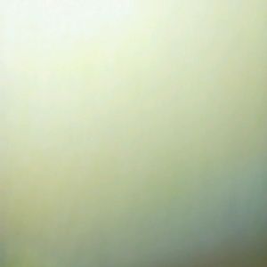 Meet your Posher, Andre