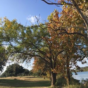 Meet your Posher, Bella