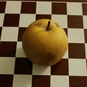 Meet your Posher, Jaylin