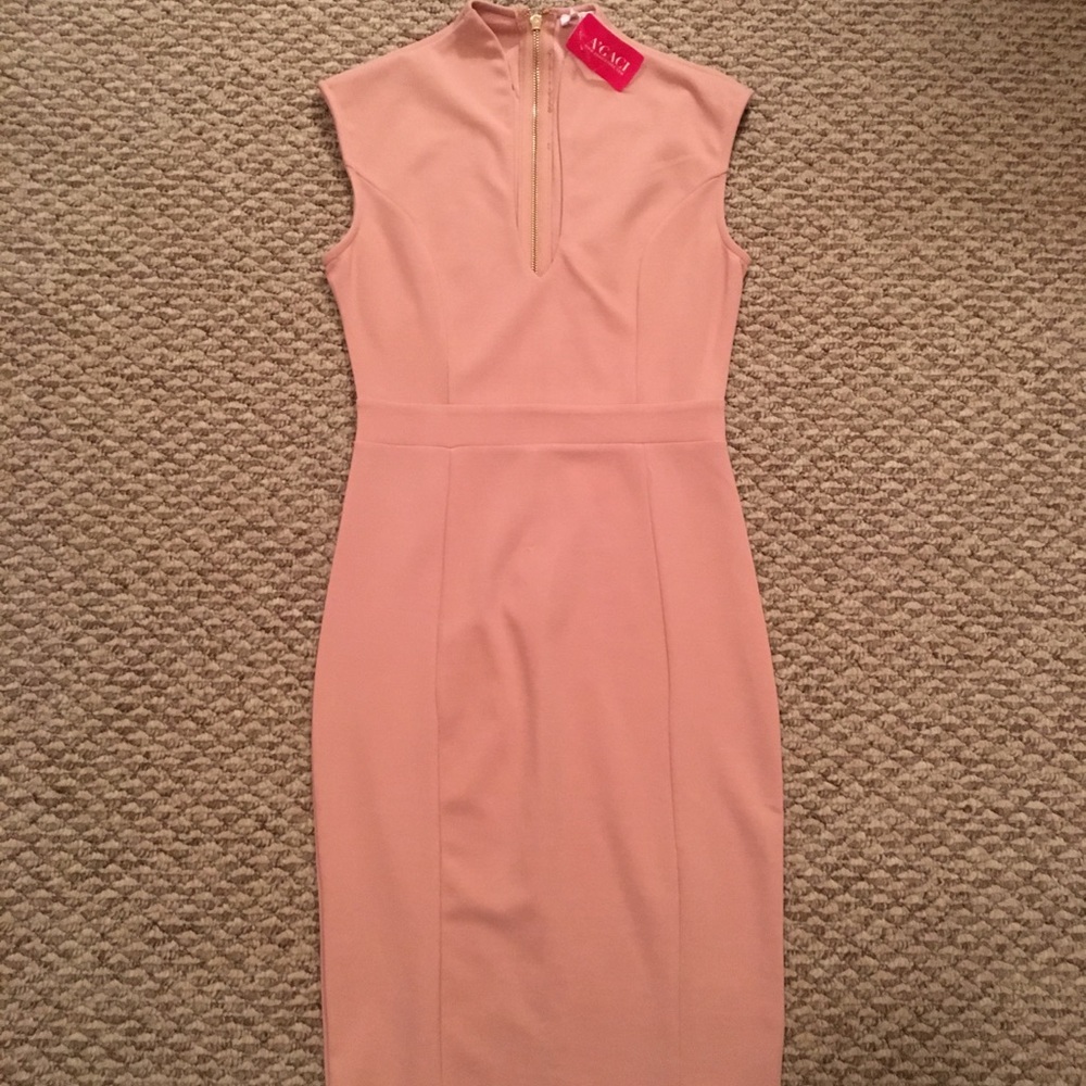 Blush Cocktail Dress