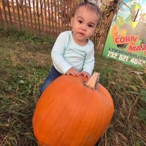 Meet your Posher, Kiki