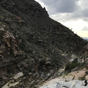 Meet your Posher, Matt