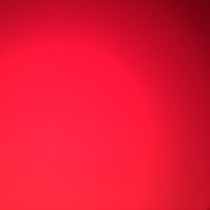 Meet your Posher, Giselle