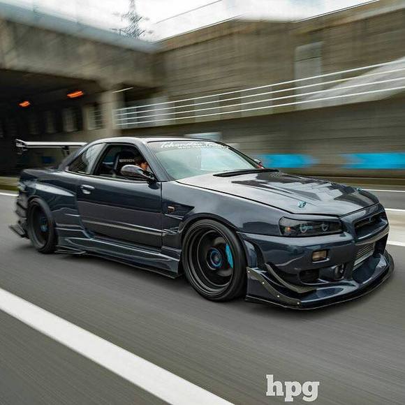 Meet your Posher, Leo - Picture 1 of 1