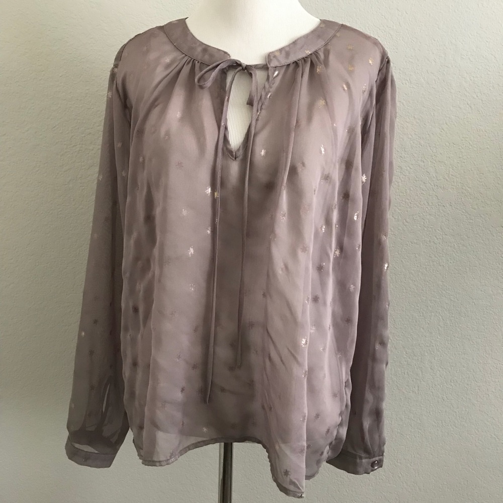 Sheer Star Top