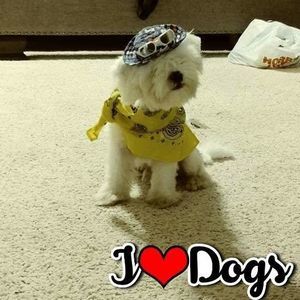 Meet your Posher, Christin