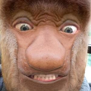 Meet your Posher, Cody