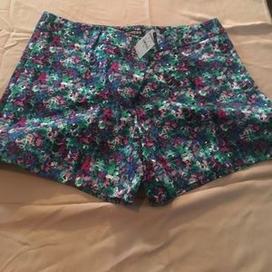 Cute Express shorts