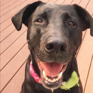 Meet your Posher, Angela