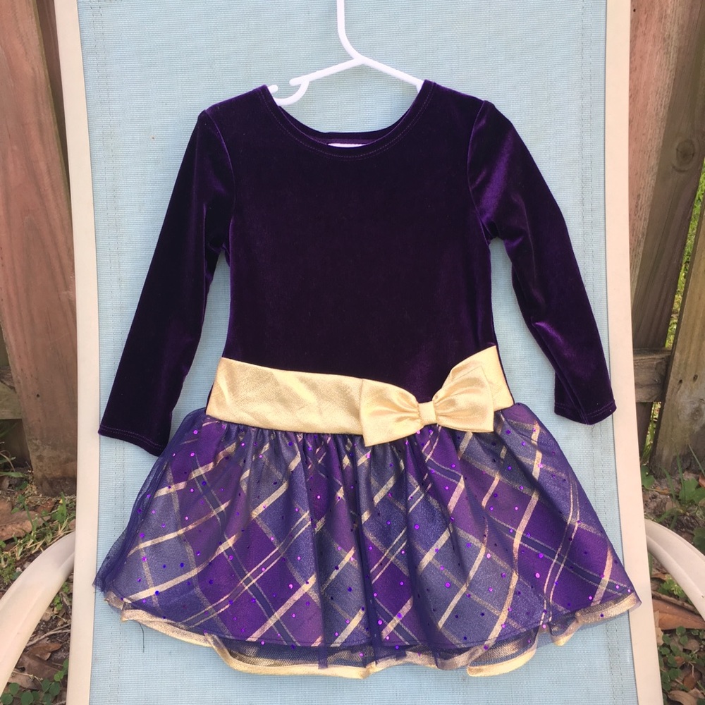 Iris & Ivy Purple Velvet Formal Dress Girls 3T