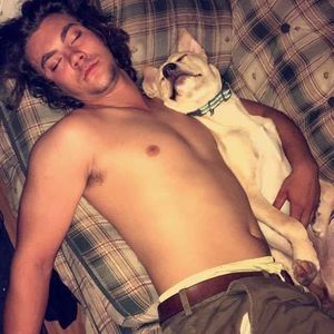 Meet your Posher, Harper