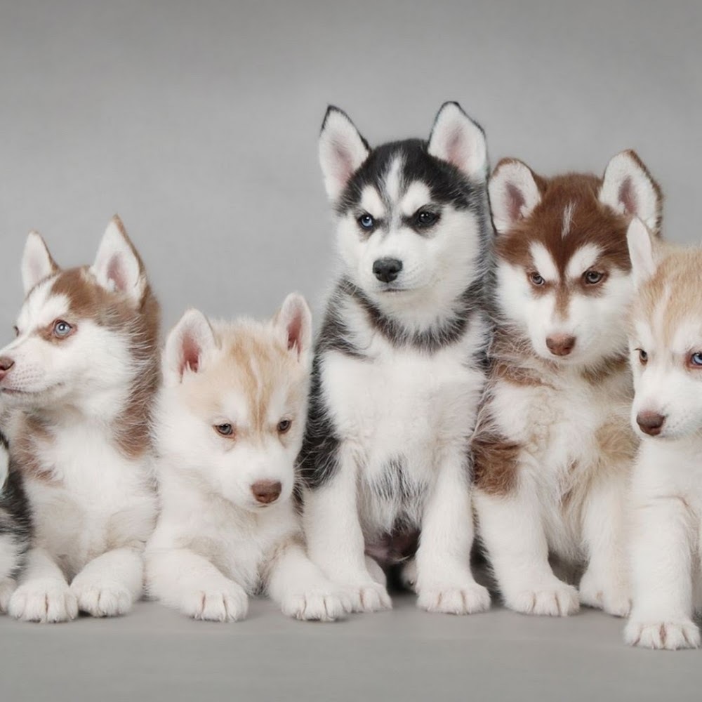 Meet your Posher, Kathryn