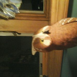 Meet your Posher, Bridget