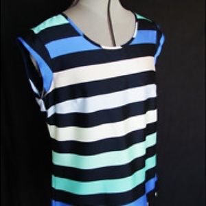 The limited blue striped blouse.