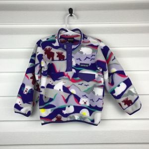 patagonia polar bear jacket