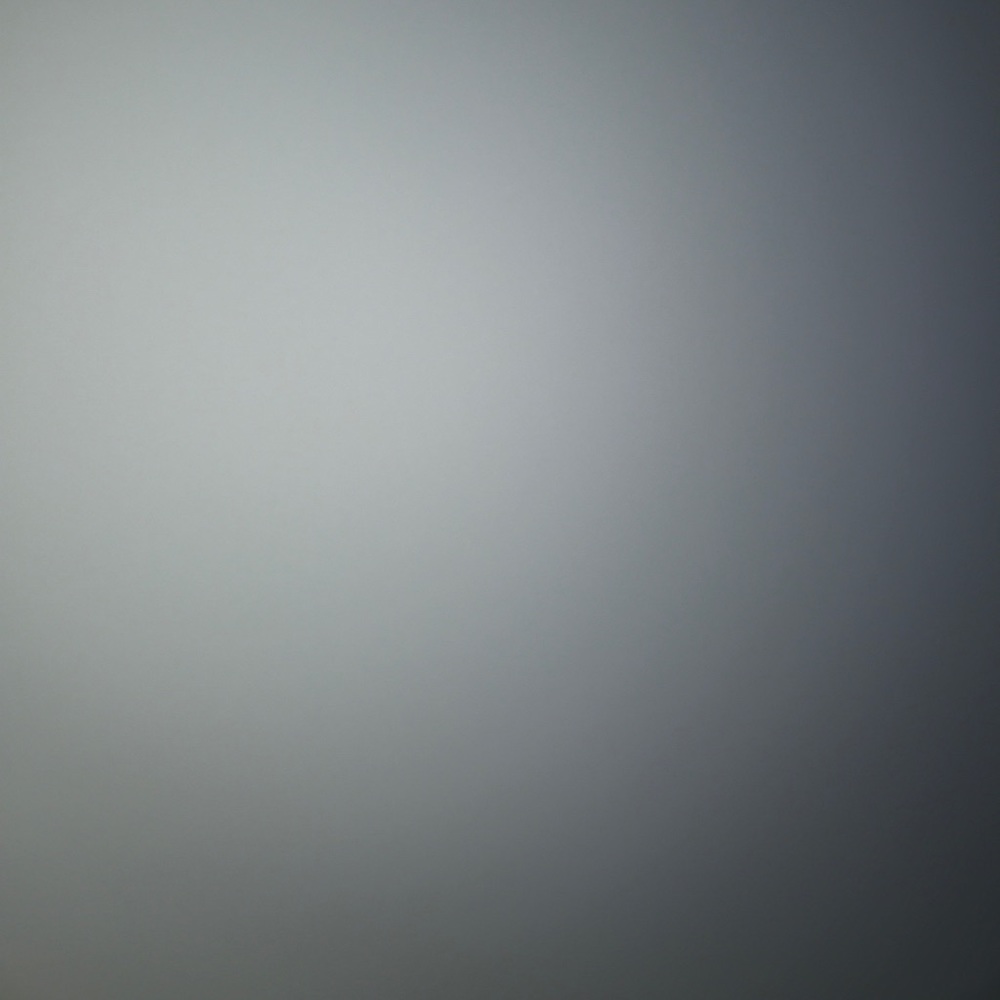 Meet your Posher, Larry