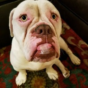 Meet your Posher, Shelly