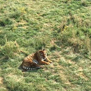 Meet your Posher, Donna