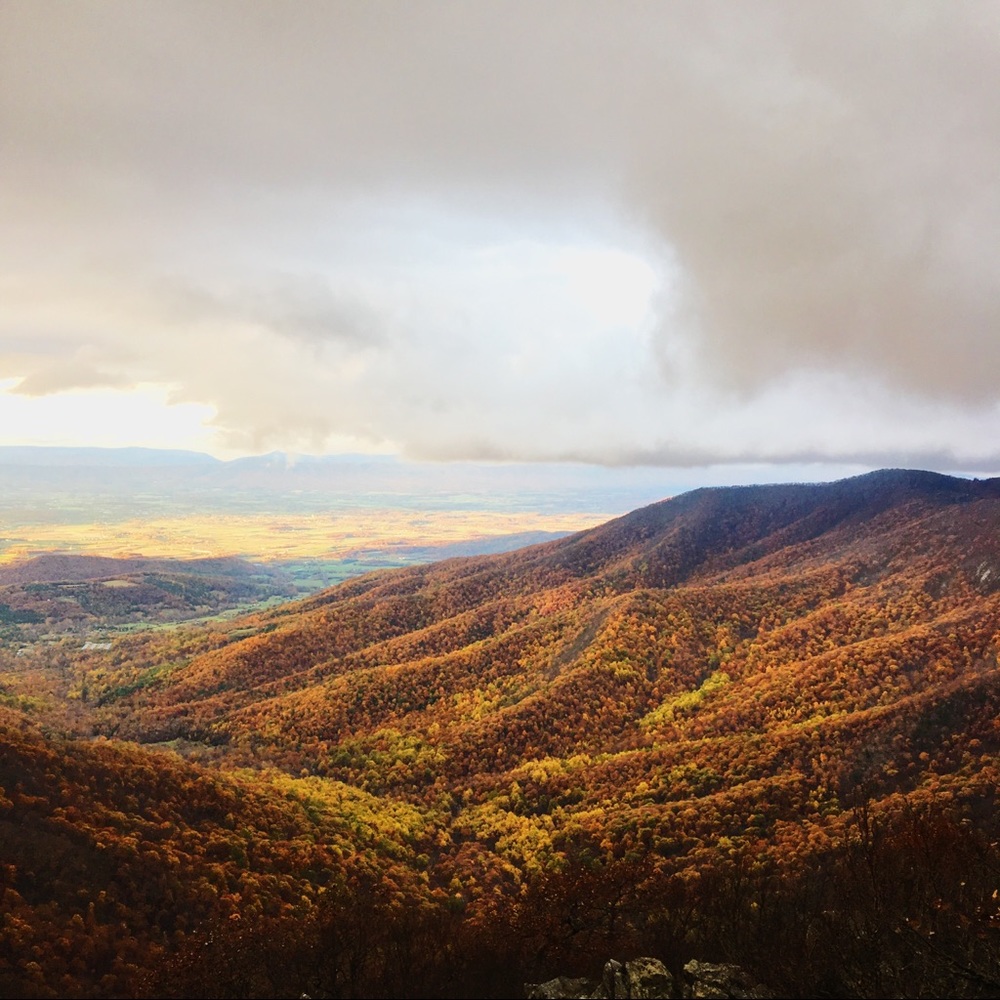 Meet your Posher, Aleesa