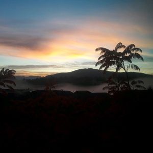 Meet your Posher, Keeley