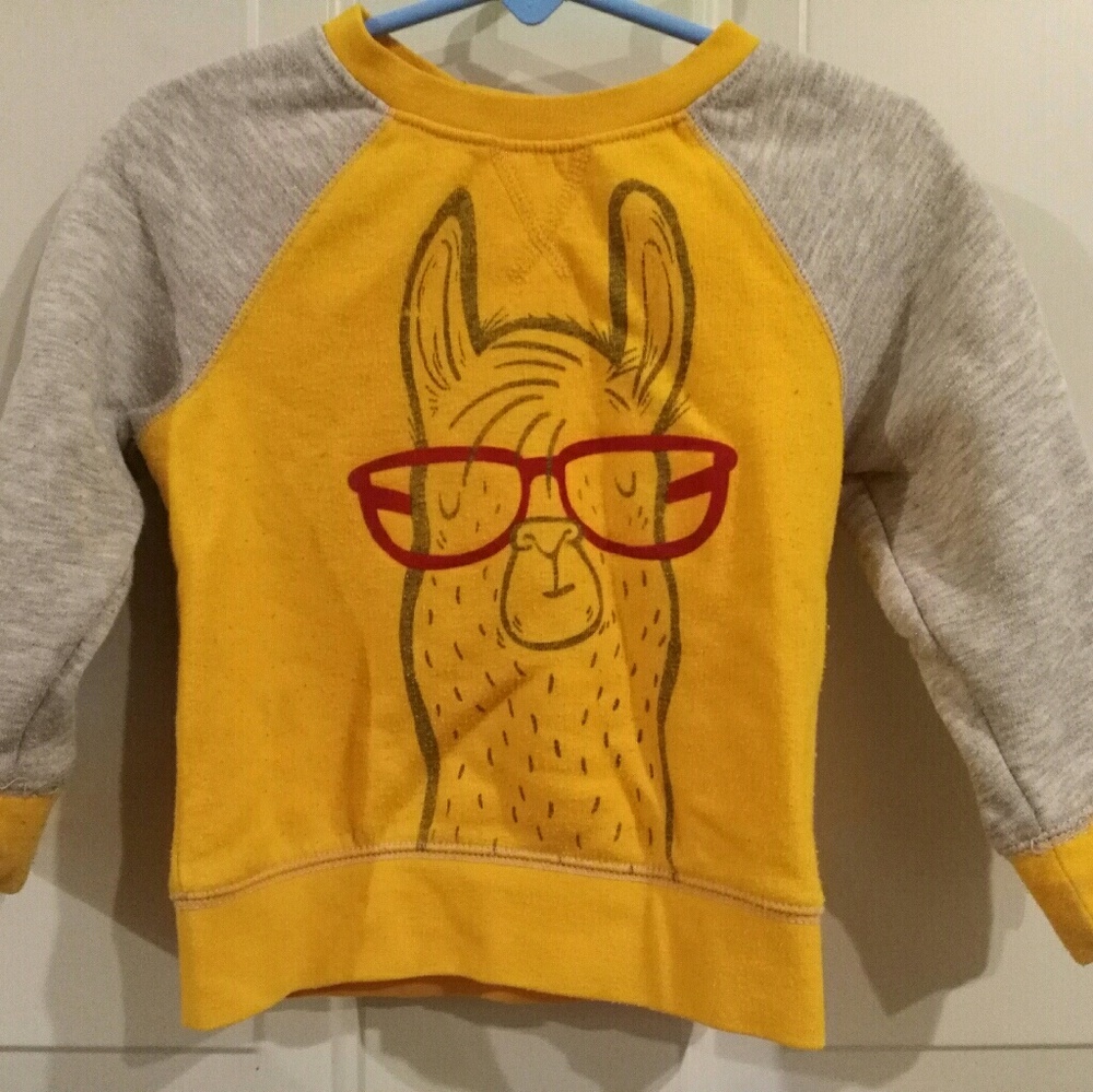 Llama Sweatshirt