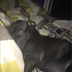 Meet your Posher, Eli