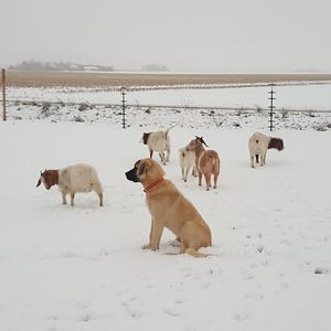 Meet your Posher, Elaine