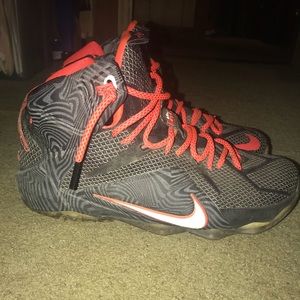 Lebron 12s