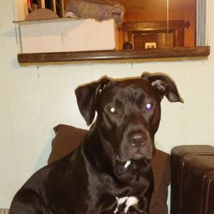 Meet your Posher, Timothy