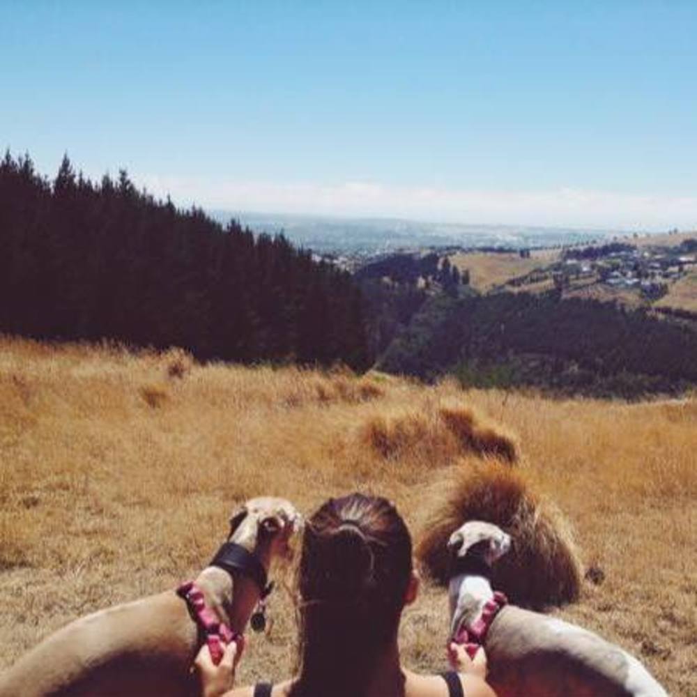 Meet your Posher, Tessa