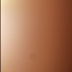 Meet your Posher, Anyae