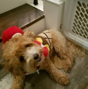 Meet your Posher, Regina