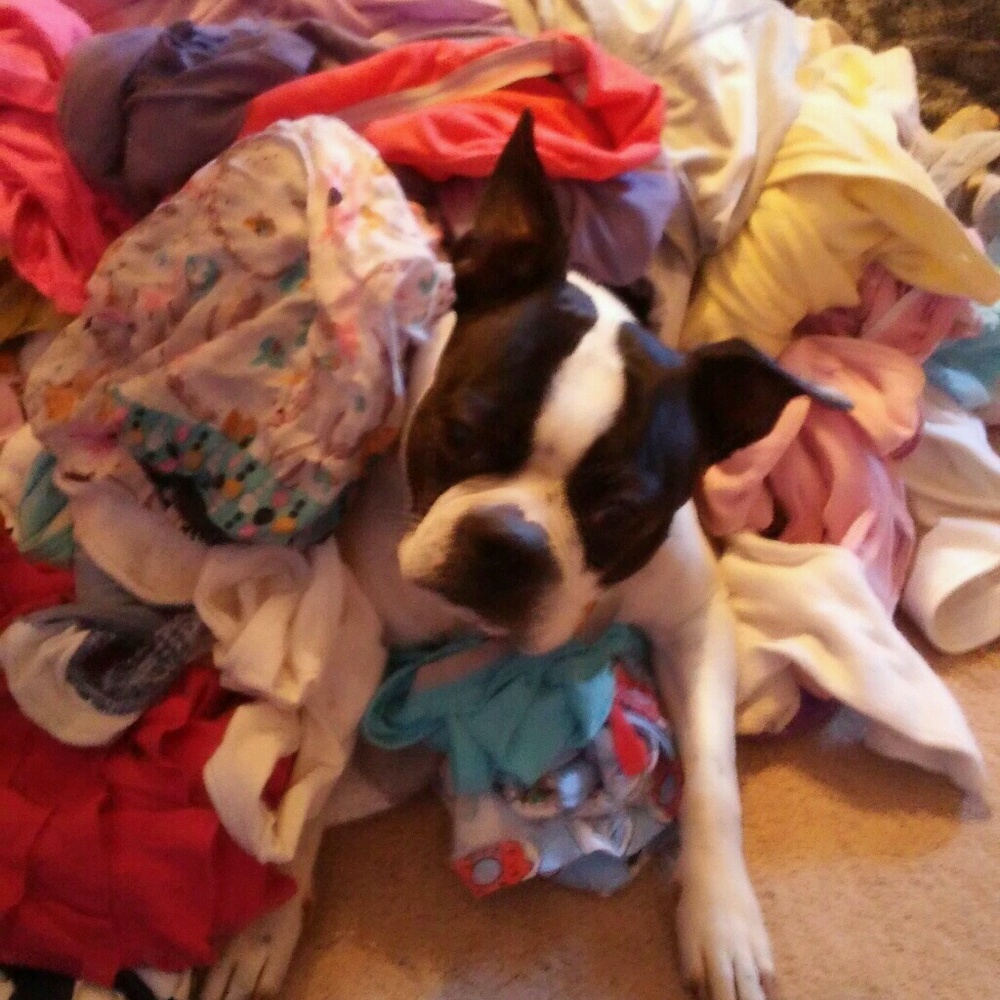 Meet your Posher, Jennifer