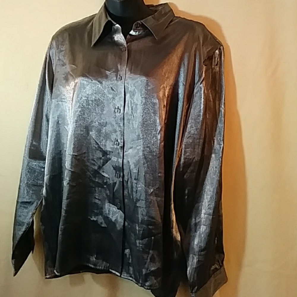 Cricket Lane Collection silver shirt-sz 18