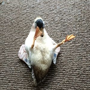 Meet your Posher, Larry