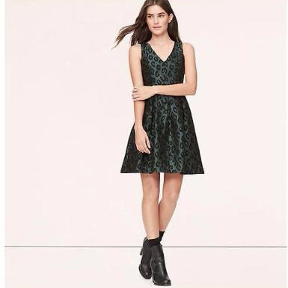 Ann Taylor LOFT Leopard Jacquard Dress size 6