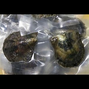 Oysters with pearls inside!