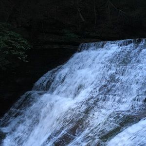 Meet your Posher, Jody