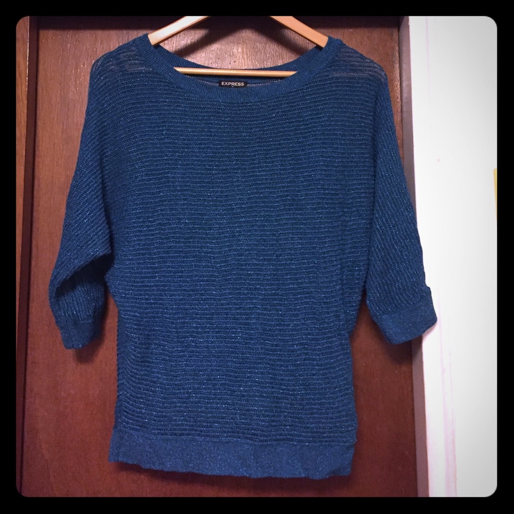 Express Sparkly Turquoise Sweater and Cami